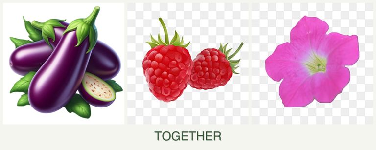 Can you plant eggplant, raspberries and petunias together?