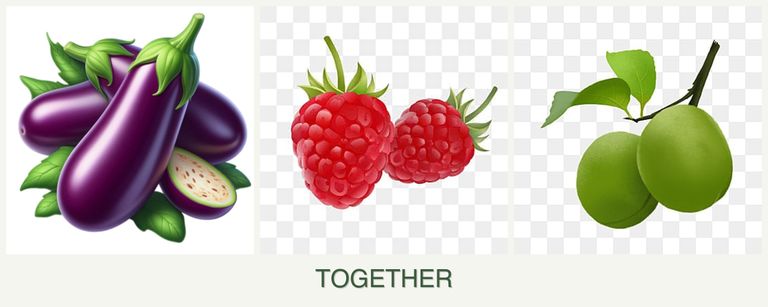 Can you plant eggplant, raspberries and plums together?