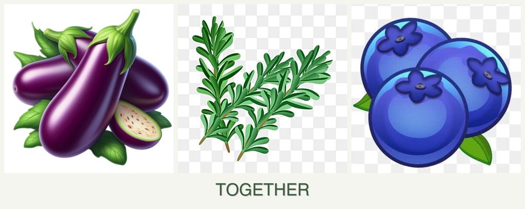 Can you plant eggplant, rosemary and blueberries together?