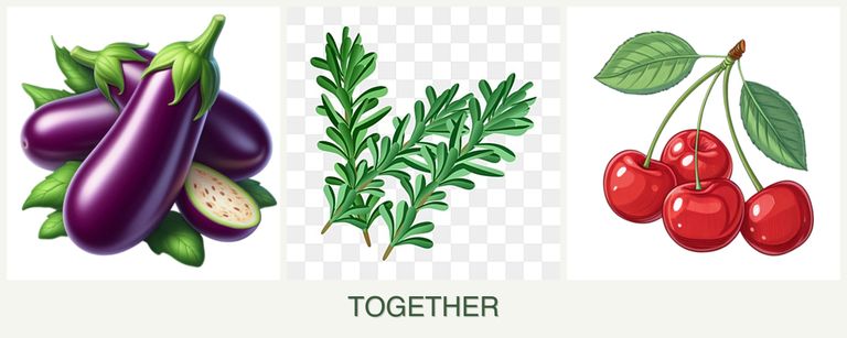 Can you plant eggplant, rosemary and cherries together?