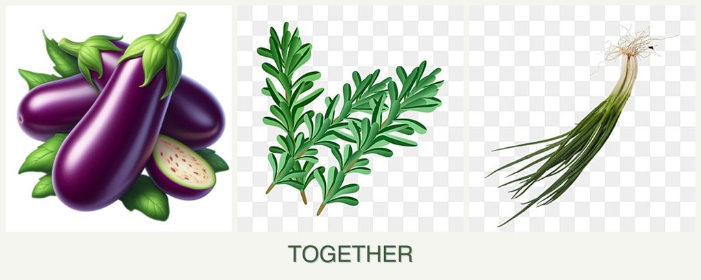 Can you plant eggplant, rosemary and chives together?