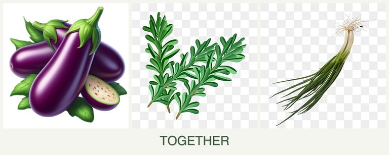 Can you plant eggplant, rosemary and chives together?