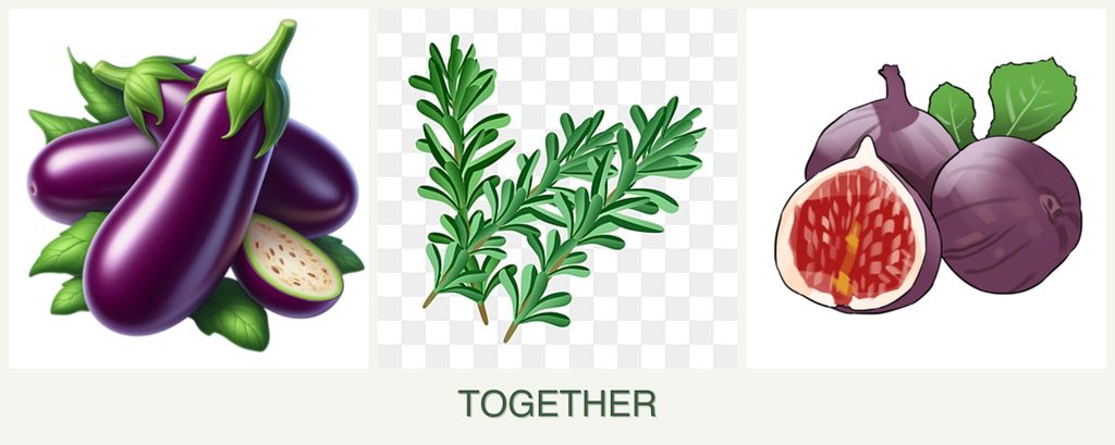 Can you plant eggplant, rosemary and figs together?