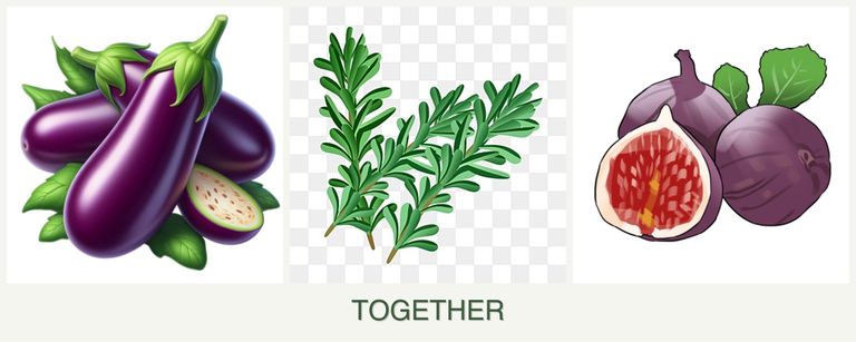 Can you plant eggplant, rosemary and figs together?