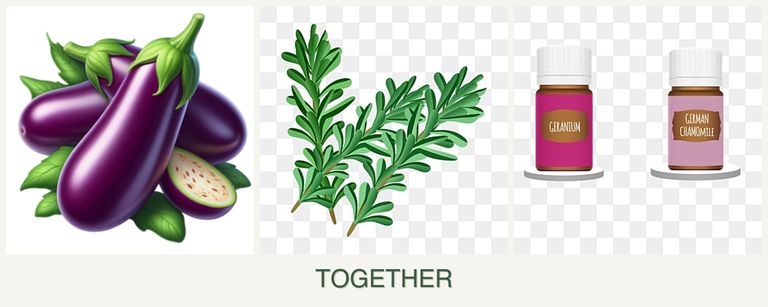 Can you plant eggplant, rosemary and geraniums together?