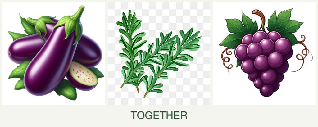 Can you plant eggplant, rosemary and grapes together?