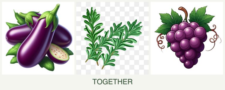 Can you plant eggplant, rosemary and grapes together?
