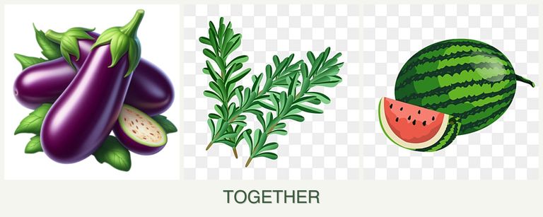 Can you plant eggplant, rosemary and melons together?