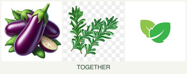 Can you plant eggplant, rosemary and mint together?