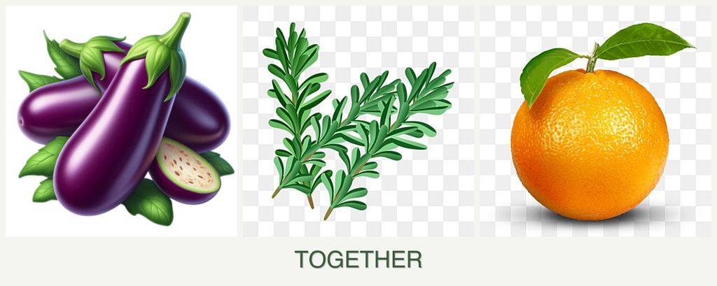 Can you plant eggplant, rosemary and oranges together?