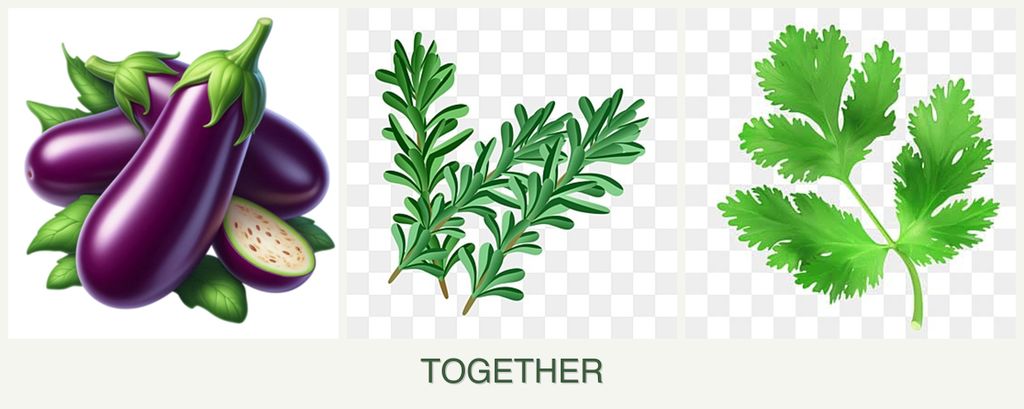 Can you plant eggplant, rosemary and parsley together?