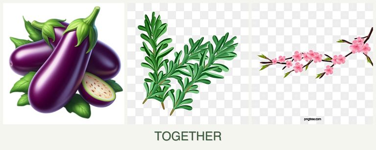Can you plant eggplant, rosemary and peaches together?
