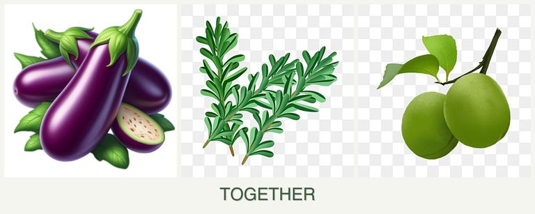 Can you plant eggplant, rosemary and plums together?