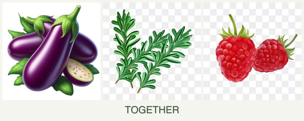 Can you plant eggplant, rosemary and raspberries together?