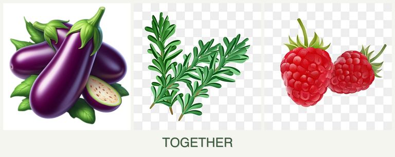 Can you plant eggplant, rosemary and raspberries together?