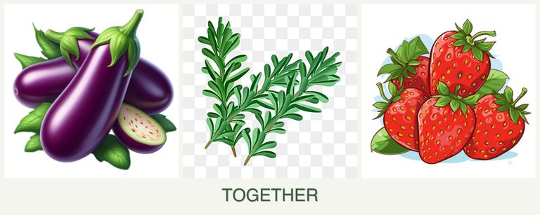 Can you plant eggplant, rosemary and strawberries together?