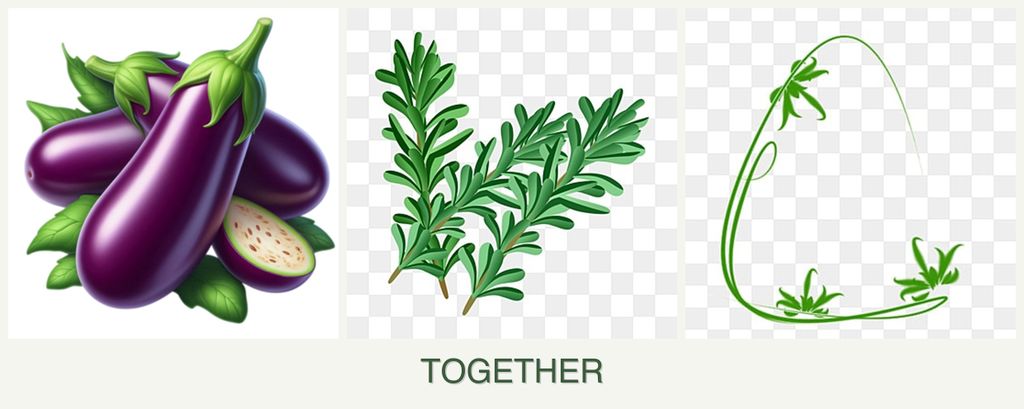 Can you plant eggplant, rosemary and tarragon together?