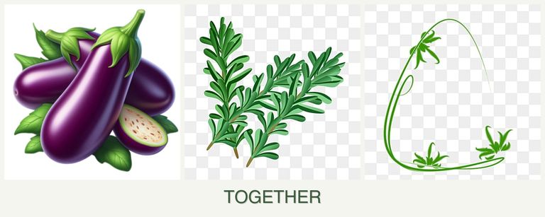 Can you plant eggplant, rosemary and tarragon together?