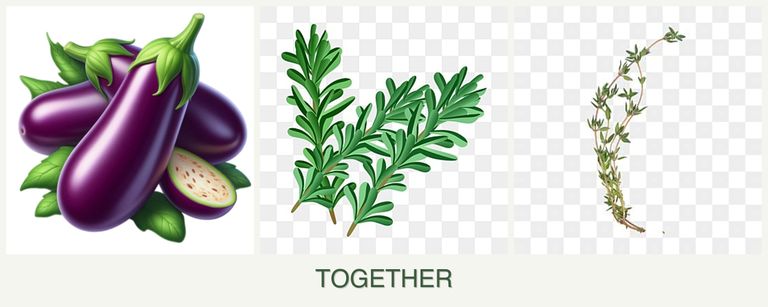 Can you plant eggplant, rosemary and thyme together?