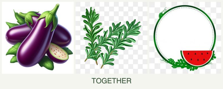 Can you plant eggplant, rosemary and watermelons together?