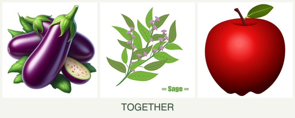 Can you plant eggplant, sage and apples together?