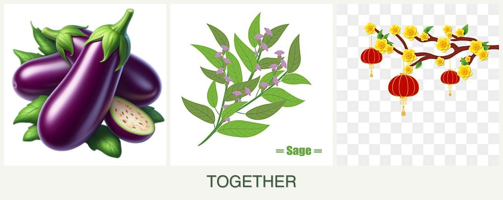 Can you plant eggplant, sage and apricots together?