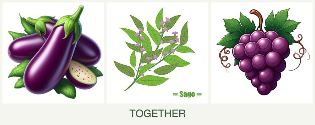 Can you plant eggplant, sage and grapes together?