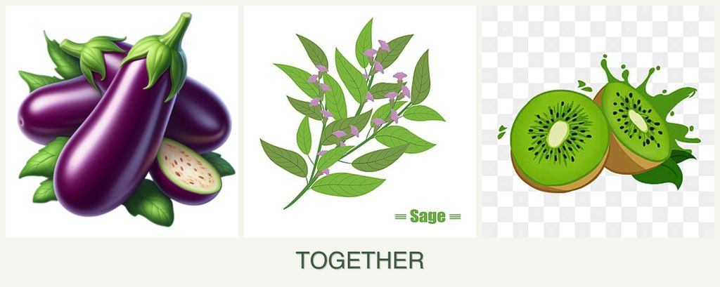 Can you plant eggplant, sage and kiwi together?