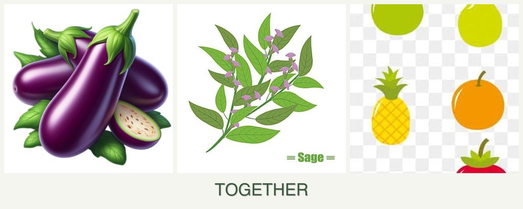 Can you plant eggplant, sage and pears together?