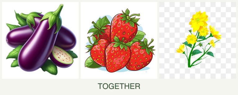 Can you plant eggplant, strawberries and calendula together?
