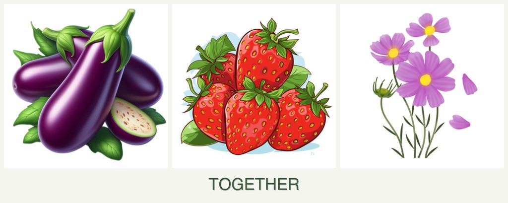 Can you plant eggplant, strawberries and cosmos together?