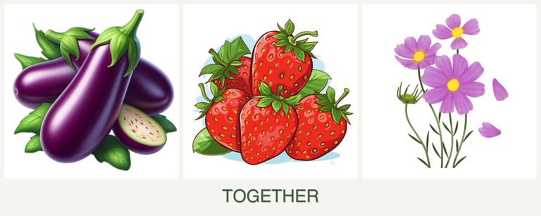 Can you plant eggplant, strawberries and cosmos together?