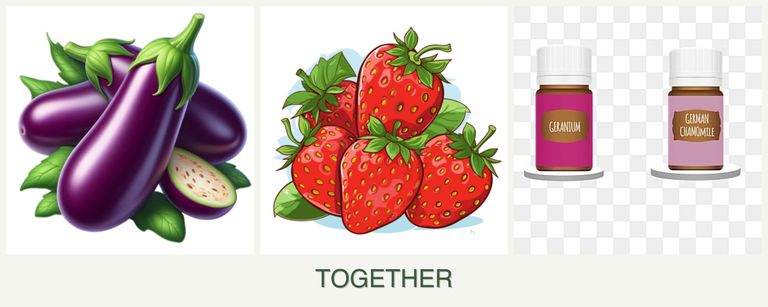 Can you plant eggplant, strawberries and geraniums together?