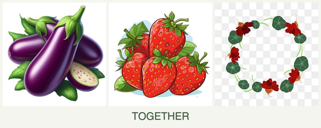Can you plant eggplant, strawberries and nasturtiums together?