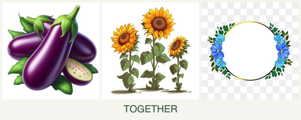 Can you plant eggplant, sunflowers and zinnias together?