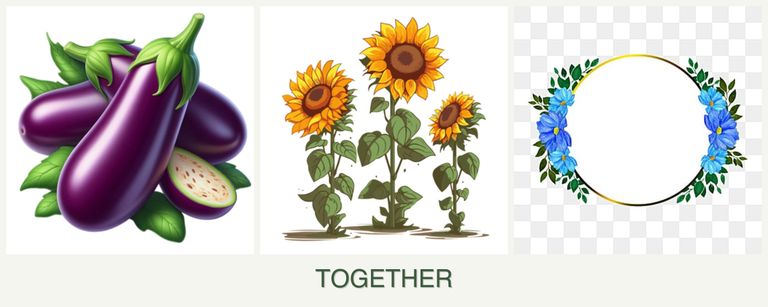 Can you plant eggplant, sunflowers and zinnias together?
