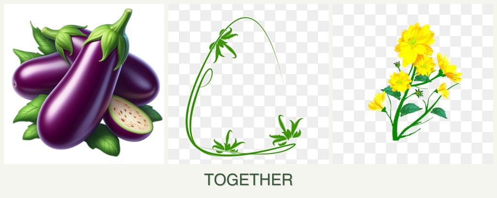 Can you plant eggplant, tarragon and calendula together?