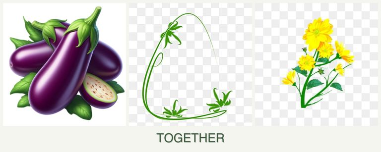 Can you plant eggplant, tarragon and calendula together?