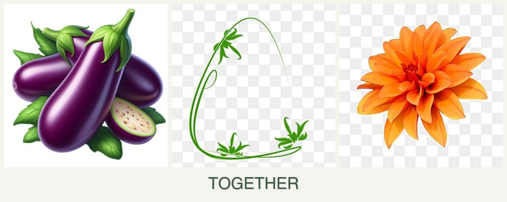 Can you plant eggplant, tarragon and dahlias together?