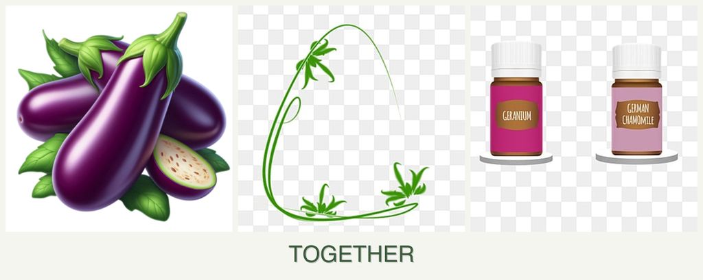 Can you plant eggplant, tarragon and geraniums together?
