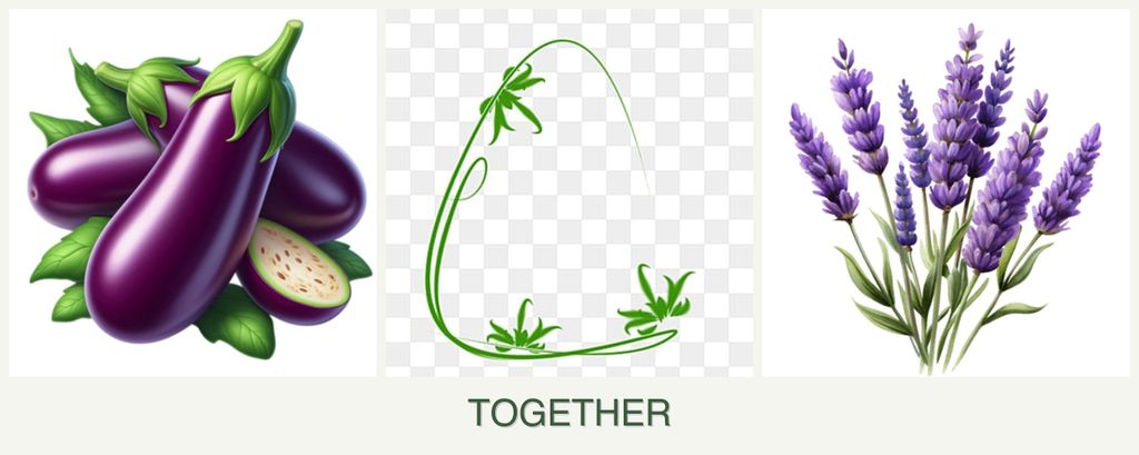Can you plant eggplant, tarragon and lavender together?
