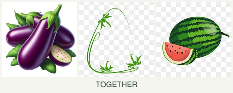 Can you plant eggplant, tarragon and melons together?