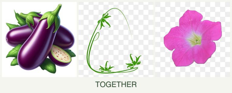 Can you plant eggplant, tarragon and petunias together?