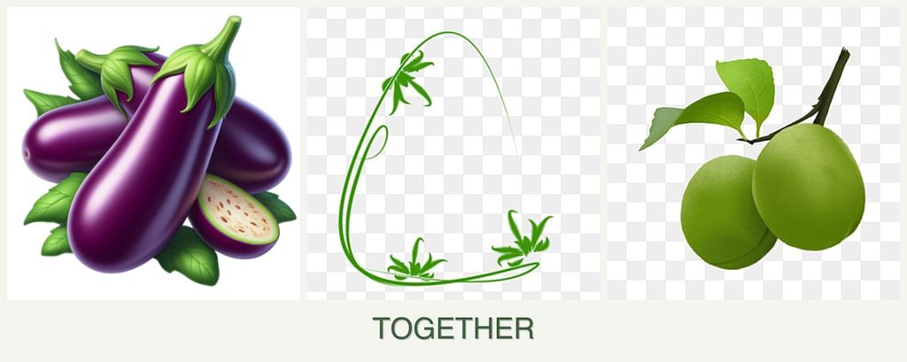 Can you plant eggplant, tarragon and plums together?