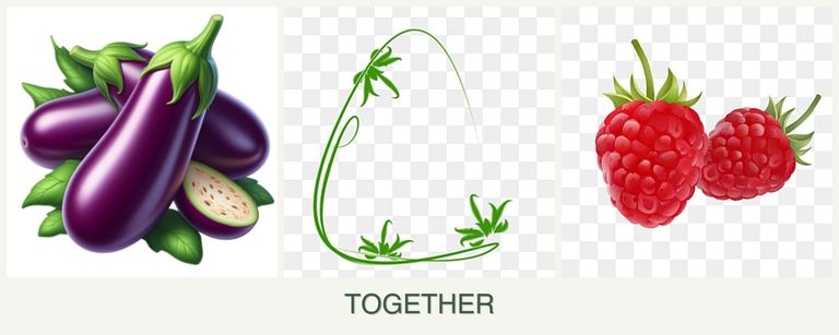 Can you plant eggplant, tarragon and raspberries together?