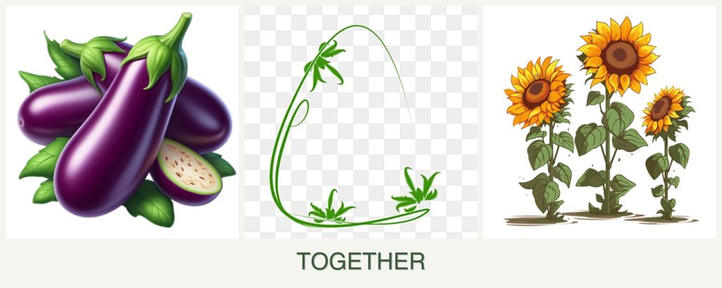 Can you plant eggplant, tarragon and sunflowers together?