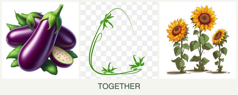 Can you plant eggplant, tarragon and sunflowers together?