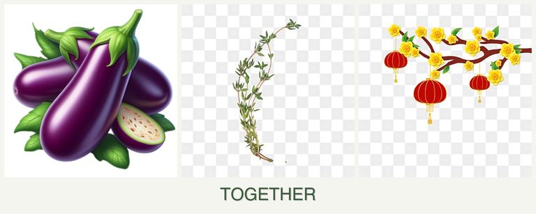 Can you plant eggplant, thyme and apricots together?