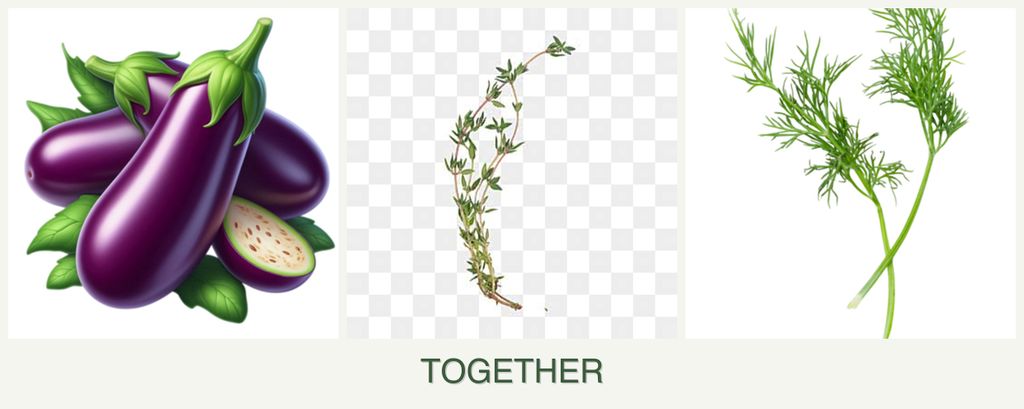 Can you plant eggplant, thyme and dill together?