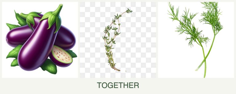 Can you plant eggplant, thyme and dill together?
